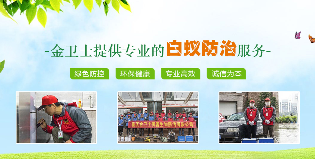 丑陋的蟑螂看起來很可怕。如何解決這種情況？