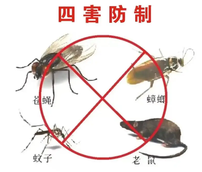 床墊易滋生吸血臭蟲，怎樣預(yù)防呢？